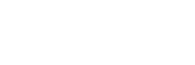 Freiburger Entrümpelung